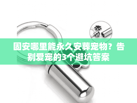 固安哪里能永久安葬宠物？告别爱宠的3个避坑答案
