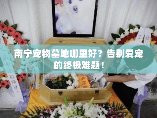 南宁宠物墓地哪里好？告别爱宠的终极难题！
