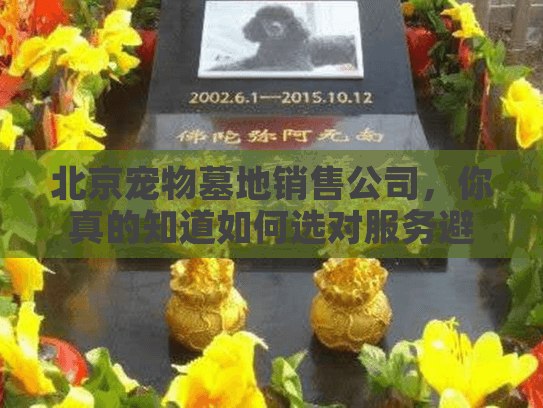 北京宠物墓地销售公司,你真的知道如何选对服务避免高价陷阱吗? 北京宠物墓地销售公司,你真的知道如何选对服务避免高价陷阱吗?