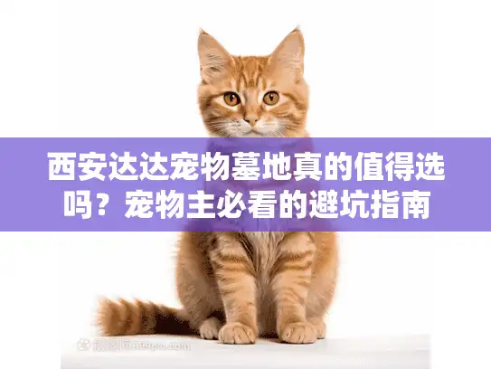 西安达达宠物墓地真的值得选吗？宠物主必看的避坑指南