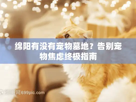 绵阳有没有宠物墓地？告别宠物焦虑终极指南