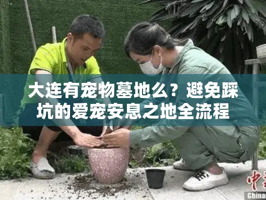 大连有宠物墓地么？避免踩坑的爱宠安息之地全流程