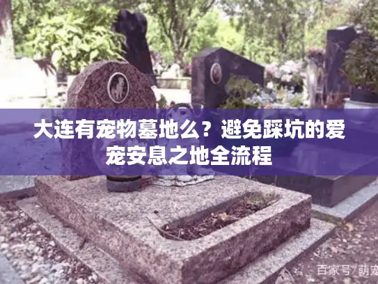 大连有宠物墓地么？避免踩坑的爱宠安息之地全流程