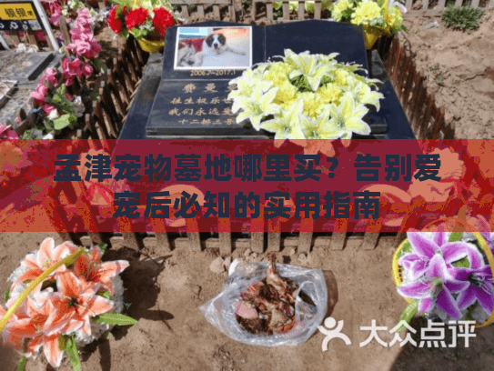 孟津宠物墓地哪里买？告别爱宠后必知的实用指南