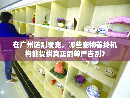 在广州送别爱宠,哪些宠物善终机构能提供真正的尊严告别? 在广州送别爱宠,哪些宠物善终机构能提供真正的尊严告别?