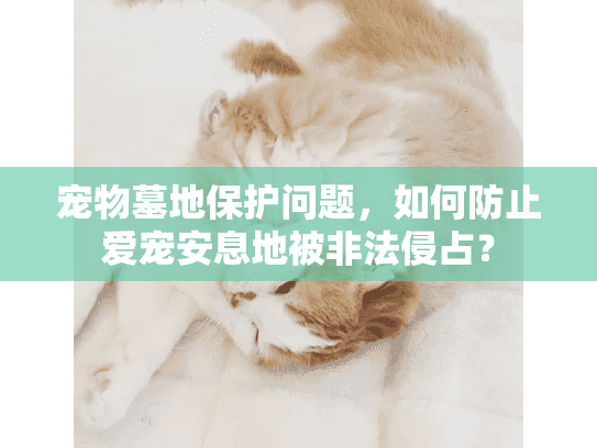 宠物墓地保护问题,如何防止爱宠安息地被非法侵占? 宠物墓地保护问题,如何防止爱宠安息地被非法侵占?