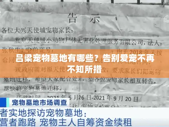 吕梁宠物墓地有哪些?告别爱宠不再不知所措 吕梁宠物墓地有哪些?告别爱宠不再不知所措