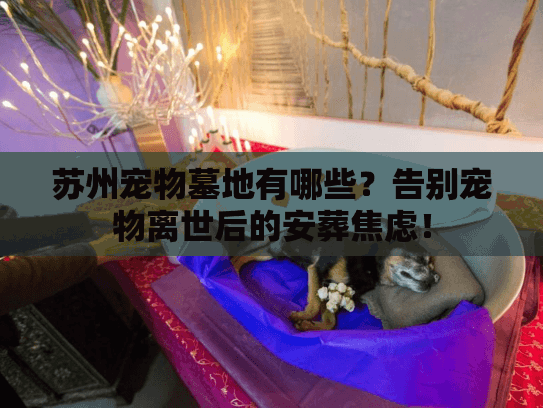苏州宠物墓地有哪些？告别宠物离世后的安葬焦虑！
