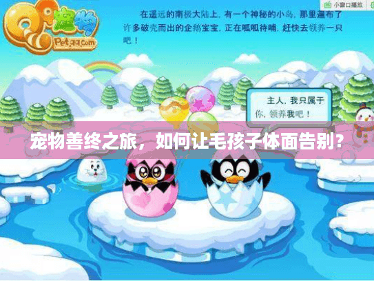 宠物善终之旅，如何让毛孩子体面告别？