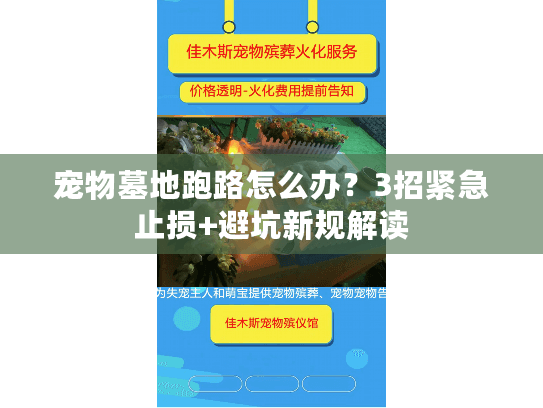 宠物墓地跑路怎么办?3招紧急止损+避坑新规解读 宠物墓地跑路怎么办?3招紧急止损+避坑新规解读