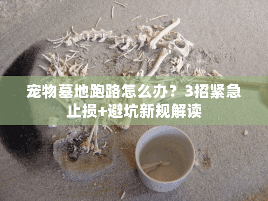 宠物墓地跑路怎么办?3招紧急止损+避坑新规解读 宠物墓地跑路怎么办?3招紧急止损+避坑新规解读