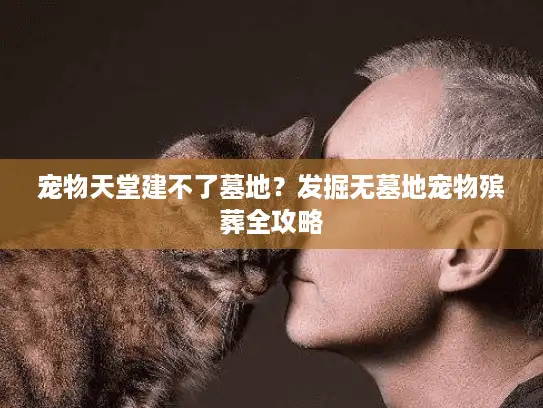 宠物天堂建不了墓地？发掘无墓地宠物殡葬全攻略