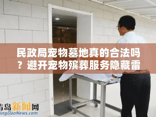 民政局宠物墓地真的合法吗？避开宠物殡葬服务隐藏雷区