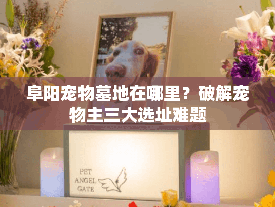 阜阳宠物墓地在哪里？破解宠物主三大选址难题
