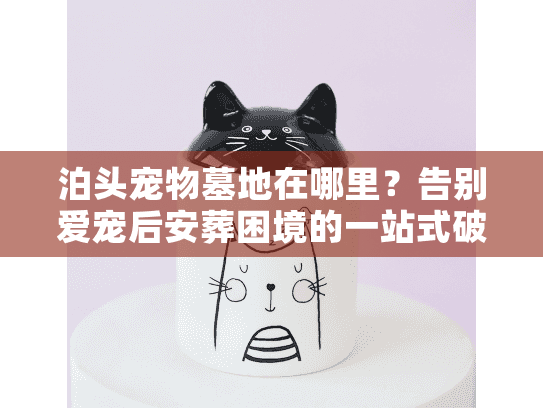 泊头宠物墓地在哪里？告别爱宠后安葬困境的一站式破解