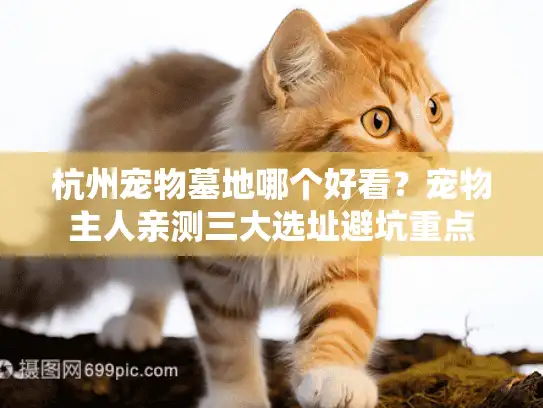 杭州宠物墓地哪个好看？宠物主人亲测三大选址避坑重点