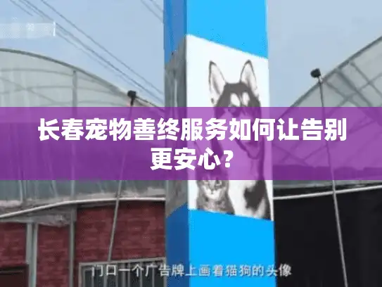 长春宠物善终服务如何让告别更安心? 长春宠物善终服务如何让告别更安心?