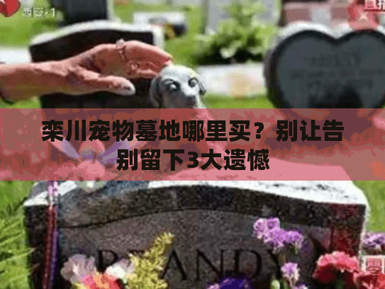 栾川宠物墓地哪里买？别让告别留下3大遗憾