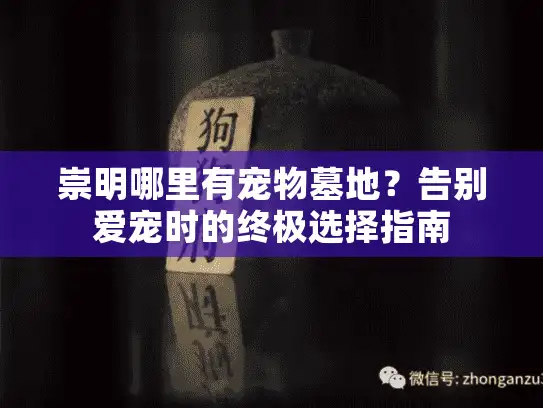 崇明哪里有宠物墓地？告别爱宠时的终极选择指南