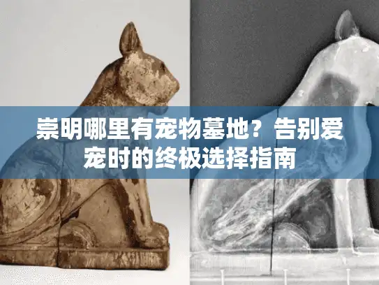 崇明哪里有宠物墓地？告别爱宠时的终极选择指南