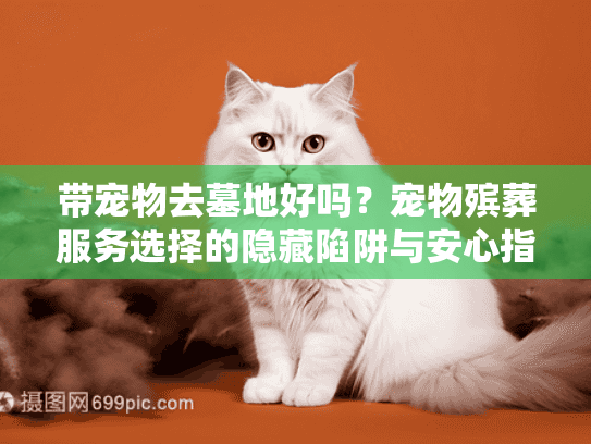 带宠物去墓地好吗？宠物殡葬服务选择的隐藏陷阱与安心指南