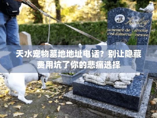 天水宠物墓地地址电话?别让隐藏费用坑了你的悲痛选择 天水宠物墓地地址电话?别让隐藏费用坑了你的悲痛选择