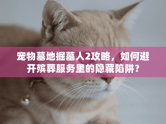 宠物墓地掘墓人2攻略,如何避开殡葬服务里的隐藏陷阱? 宠物墓地掘墓人2攻略,如何避开殡葬服务里的隐藏陷阱?