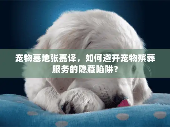 宠物墓地张嘉译，如何避开宠物殡葬服务的隐藏陷阱？