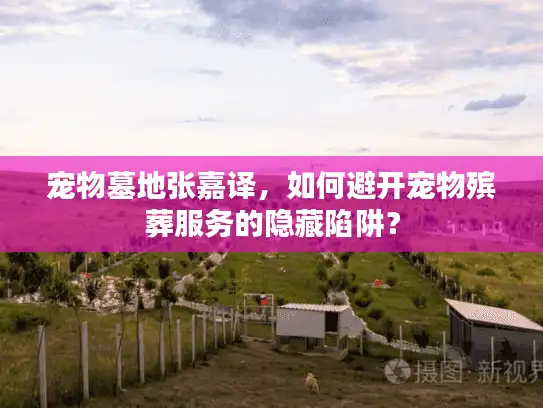 宠物墓地张嘉译，如何避开宠物殡葬服务的隐藏陷阱？