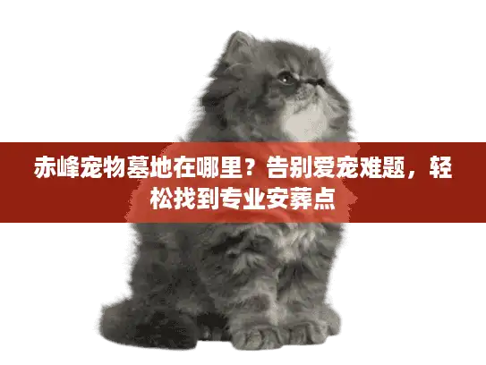 赤峰宠物墓地在哪里?告别爱宠难题,轻松找到专业安葬点 赤峰宠物墓地在哪里?告别爱宠难题,轻松找到专业安葬点