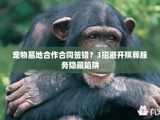 宠物墓地合作合同签错？3招避开殡葬服务隐藏陷阱