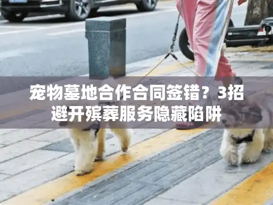 宠物墓地合作合同签错？3招避开殡葬服务隐藏陷阱