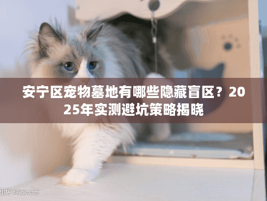 安宁区宠物墓地有哪些隐藏盲区？2025年实测避坑策略揭晓