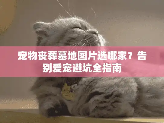 宠物丧葬墓地图片选哪家？告别爱宠避坑全指南