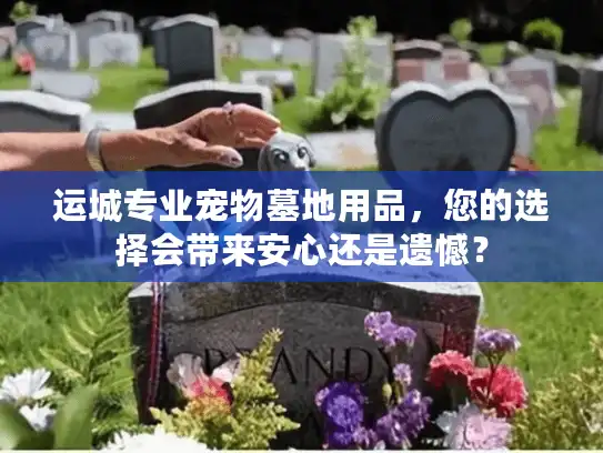 运城专业宠物墓地用品，您的选择会带来安心还是遗憾？