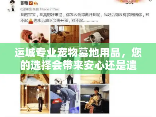 运城专业宠物墓地用品，您的选择会带来安心还是遗憾？