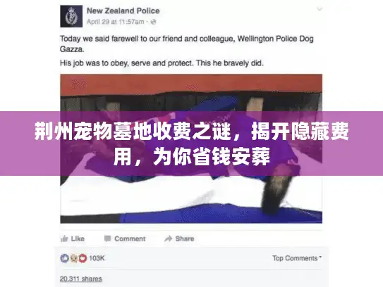 荆州宠物墓地收费之谜，揭开隐藏费用，为你省钱安葬