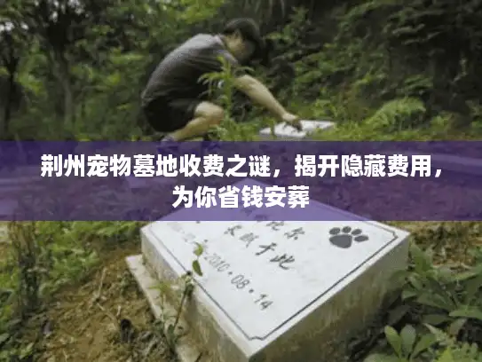 荆州宠物墓地收费之谜，揭开隐藏费用，为你省钱安葬