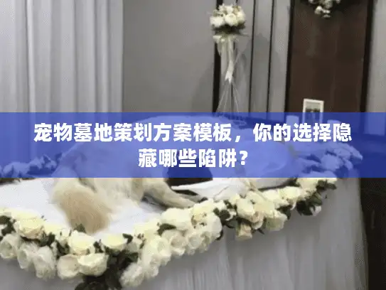 宠物墓地策划方案模板，你的选择隐藏哪些陷阱？