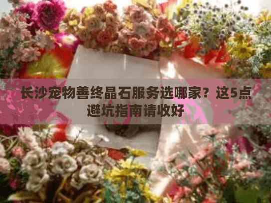 长沙宠物善终晶石服务选哪家?这5点避坑指南请收好 长沙宠物善终晶石服务选哪家?这5点避坑指南请收好