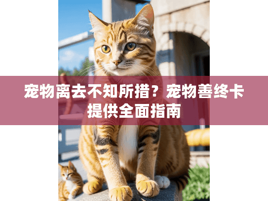 宠物离去不知所措？宠物善终卡提供全面指南