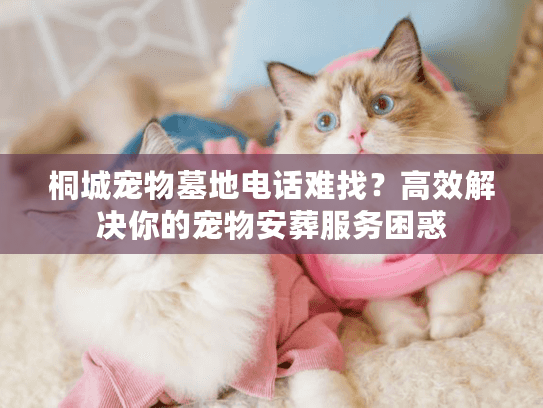 桐城宠物墓地电话难找？高效解决你的宠物安葬服务困惑