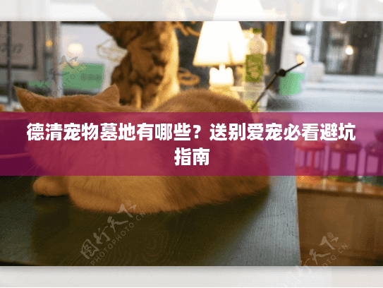 德清宠物墓地有哪些？送别爱宠必看避坑指南