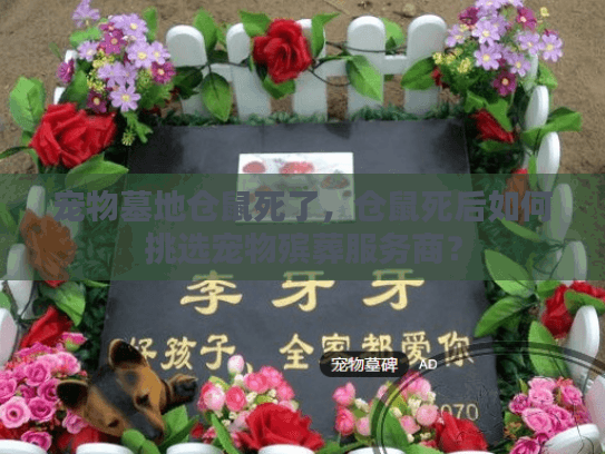 宠物墓地仓鼠死了,仓鼠死后如何挑选宠物殡葬服务商? 宠物墓地仓鼠死了,仓鼠死后如何挑选宠物殡葬服务商?