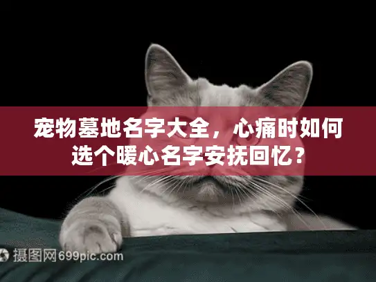 宠物墓地名字大全，心痛时如何选个暖心名字安抚回忆？