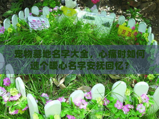 宠物墓地名字大全，心痛时如何选个暖心名字安抚回忆？