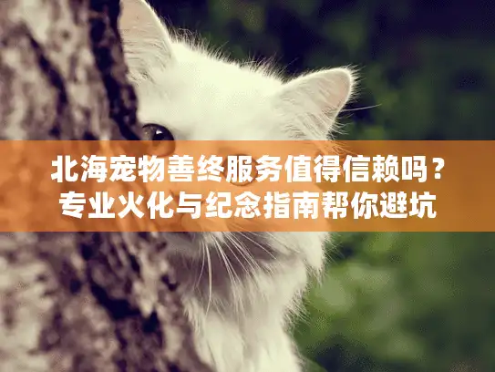 北海宠物善终服务值得信赖吗？专业火化与纪念指南帮你避坑