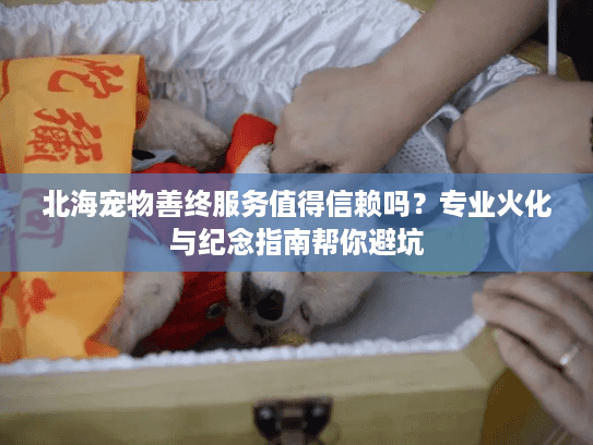 北海宠物善终服务值得信赖吗？专业火化与纪念指南帮你避坑