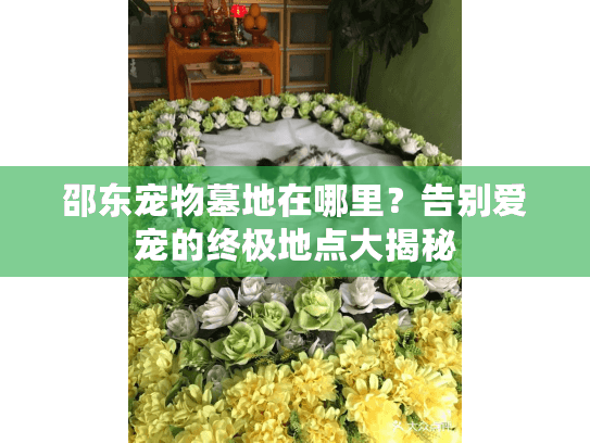 邵东宠物墓地在哪里?告别爱宠的终极地点大揭秘 邵东宠物墓地在哪里?告别爱宠的终极地点大揭秘