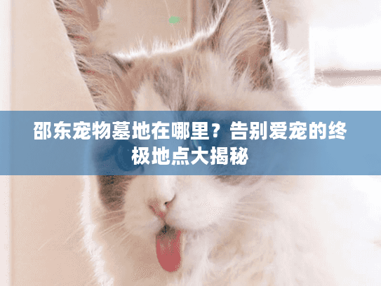 邵东宠物墓地在哪里?告别爱宠的终极地点大揭秘 邵东宠物墓地在哪里?告别爱宠的终极地点大揭秘